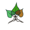 Tilia e.V.